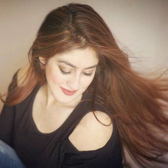 Meet your Posher, Amun - Picture 1 of 1